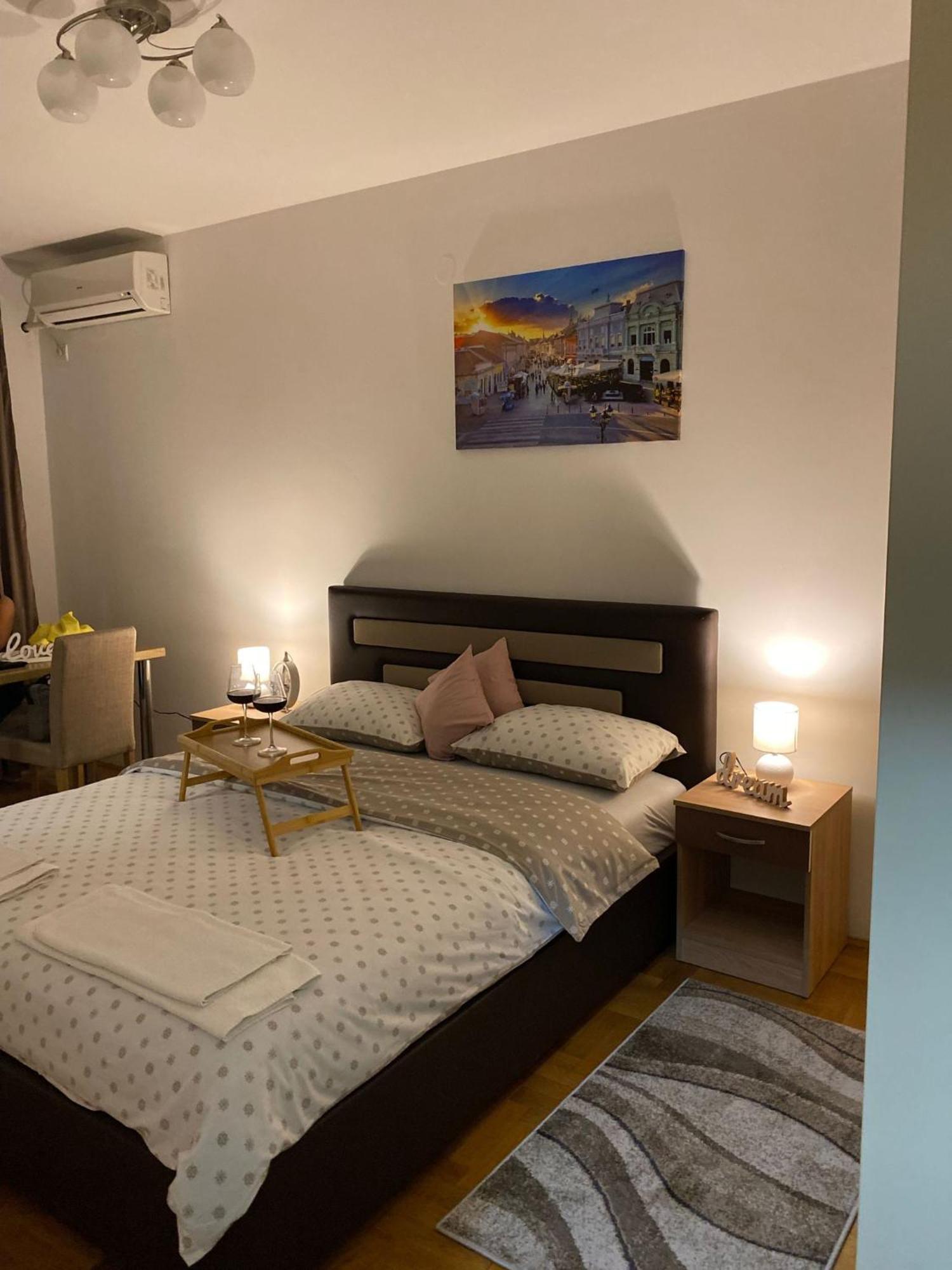 Apartman Ns Dan Centar Nowy Sad Zewnętrze zdjęcie